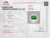 Superb Natural Tsavorite Garnet Stone